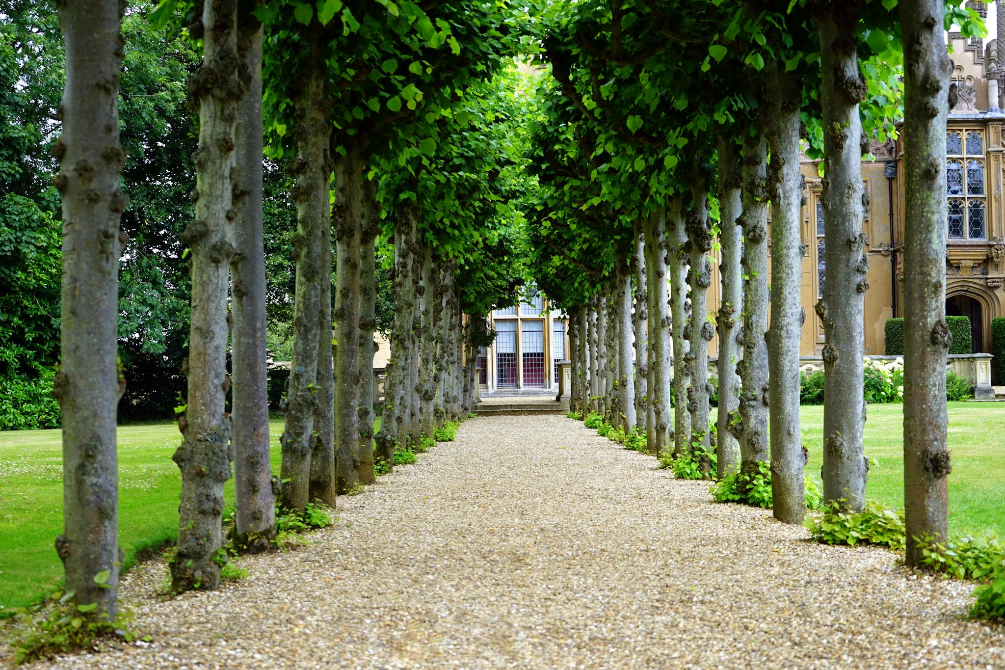 pathway between trees towards house 126271 2048x1365 1