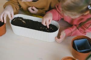 Kids learning how to sow seeds in container.