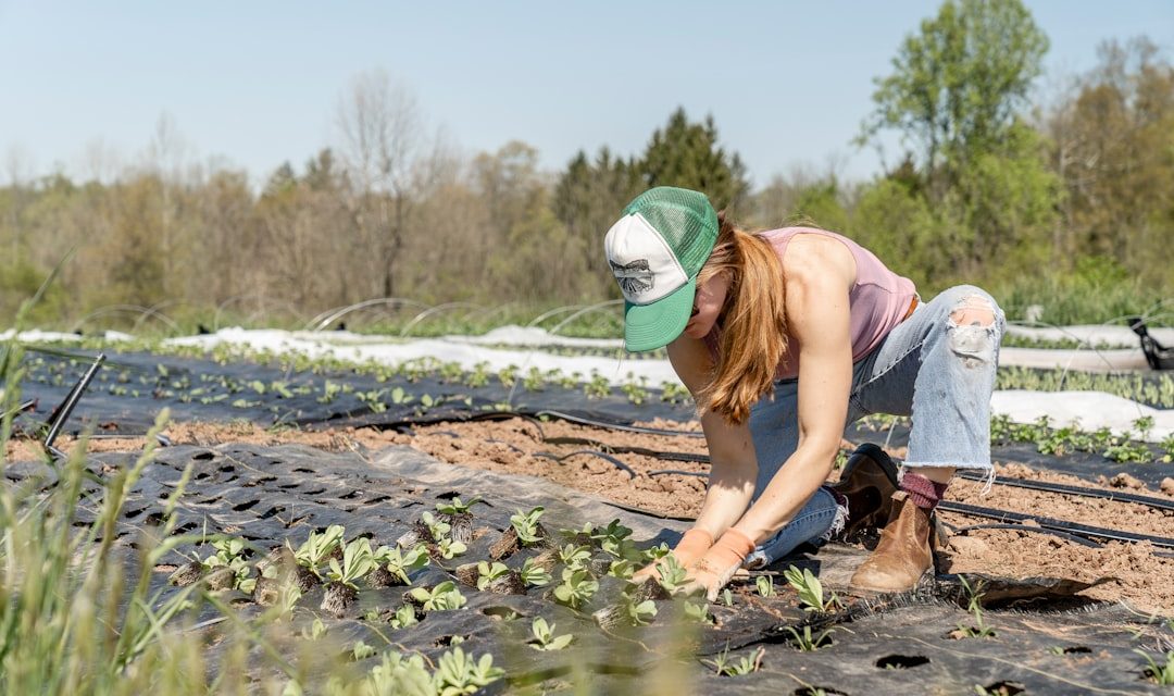 Florida Gardening Calendar: Planting and Maintenance Guide